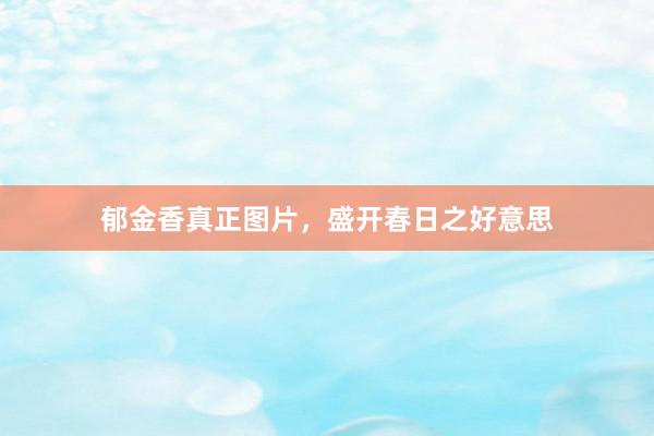 郁金香真正图片，盛开春日之好意思