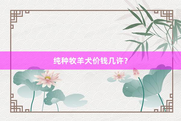 纯种牧羊犬价钱几许？