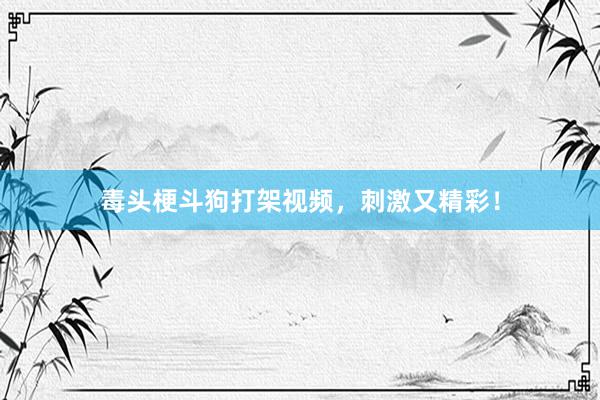 毒头梗斗狗打架视频，刺激又精彩！