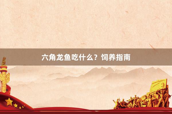 六角龙鱼吃什么？饲养指南